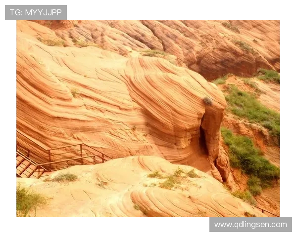 聚焦绿茵巨星成长轨迹与赛场荣耀征途全景解析与精彩瞬间传奇之旅