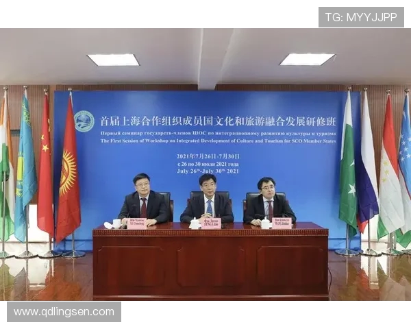 上海羽毛球队实力分析与发展潜力探讨的深度研究