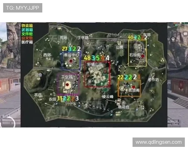 和平精英战术解析：深入探讨LNG在区域防守中的策略与执行