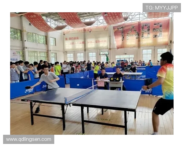 乒乓球点燃全民健身激情的高水平对抗与训练体系全面深度探讨趋势