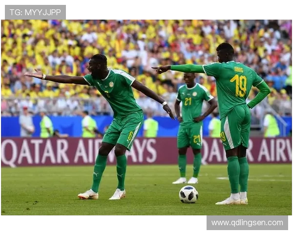 巴西与喀麦隆11月21日比赛结果分析及精彩瞬间回顾 巴西与喀麦隆11月21日比赛结果分析及精彩瞬间回顾